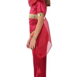 Don Disfraz Arabische Prinzessin Schleier Kostüm Für Mädchen 7 Don Disfraz Arabische Prinzessin Schleier Kostüm Für Mädchen -Länder & Kulturen Verkäufe disfraz de princesa arabe velos para nina 1.jpg